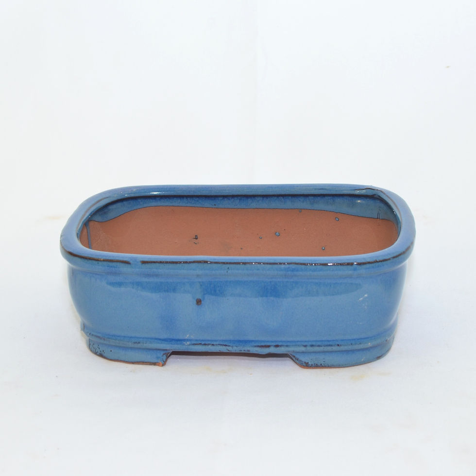 Thumbnail: Bonsai Pot - 7"