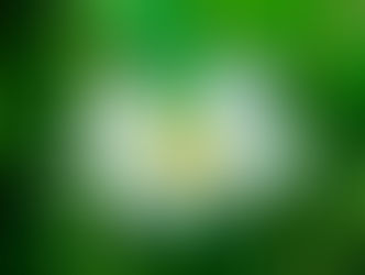 【叢書札記】因救人躲過個死劫