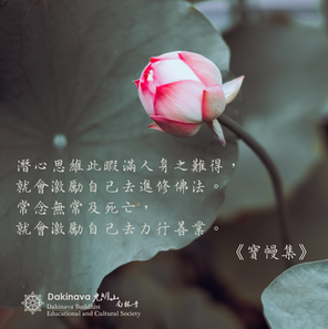 工作區域 40 複本 18.png