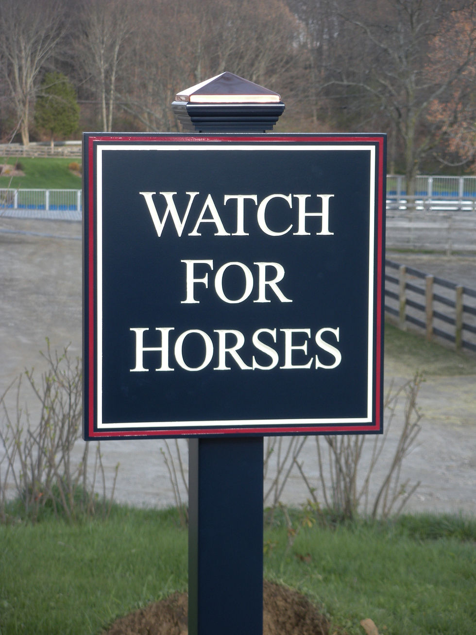 watch horses