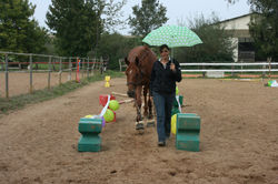 Stage de travail à pied