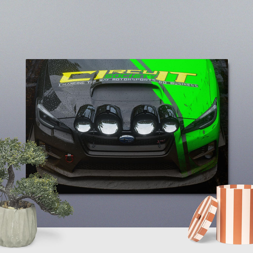 Thumbnail: Circuit Rally car print