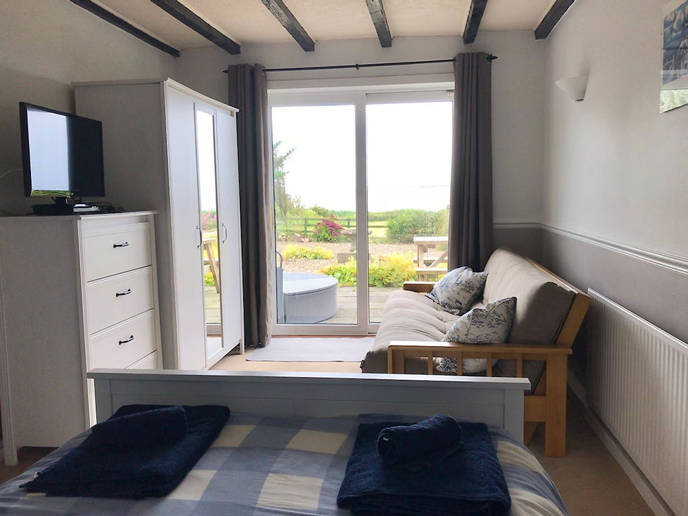Downstairs double bedroom