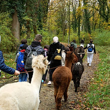 WhatsApp Image 2026-01-16 at 11.15.35.jpeg