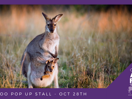 STOP the slaughter! End the "harvesting" of our native Kangaroos