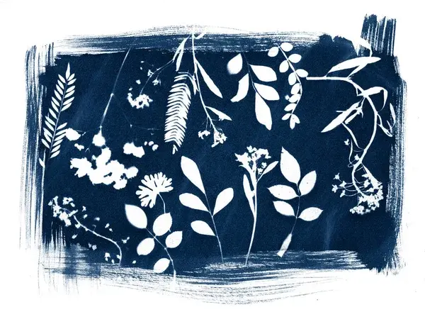 atelier cyanotype