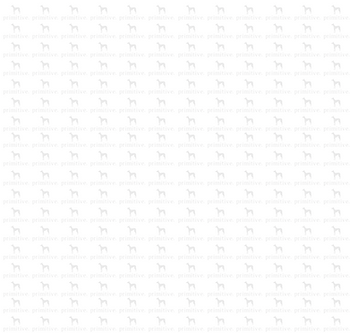 PrimtiveBGtiled.png