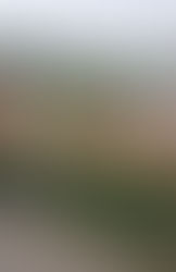 Allwetter- Athleten zeigen sich von ihren besten Seiten