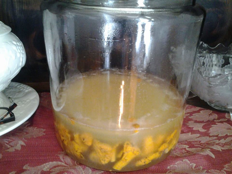 fermenting chanterelles.jpg