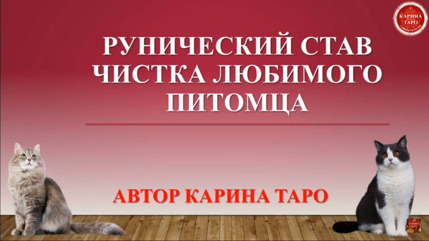 Урок РМ "Чистка домашних питомцев" (Автор Карина Таро (Кузьма).