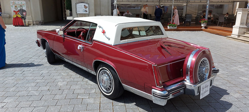 Miniatura: Cadillac Eldorado