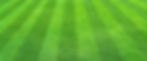 lawn-mowed-stripes-874x364.jpg