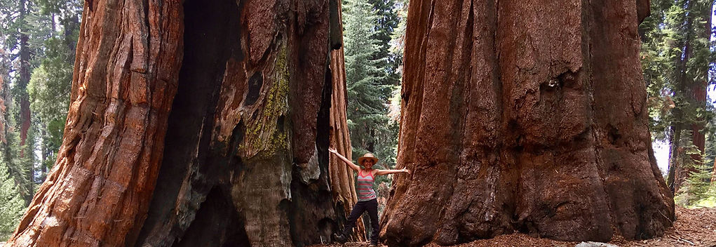 Standing in Mariposa Grove.jpg