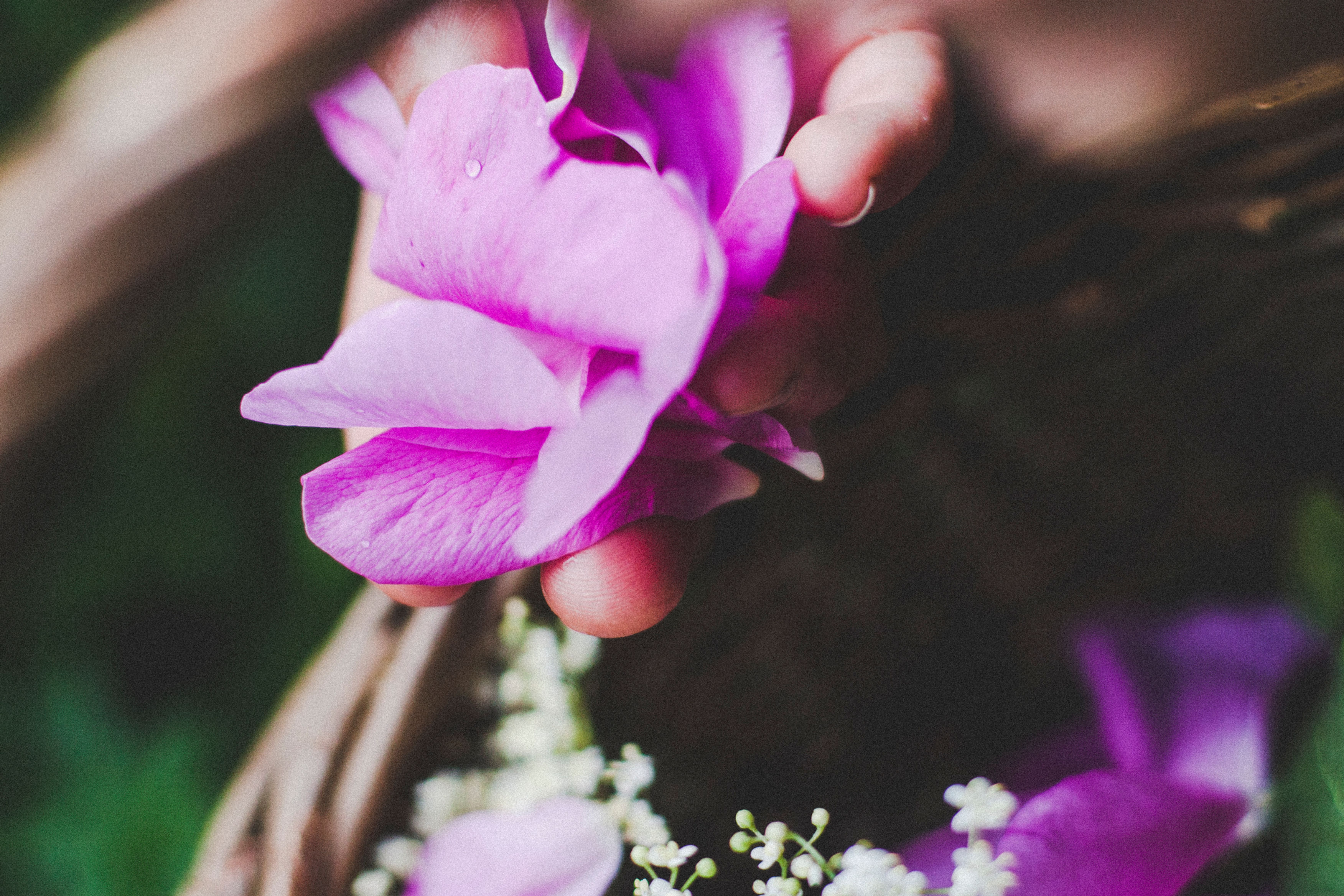 Women's Rose Retreat | 3rd - 6th July 2026 | Weekend Yoga Retreat