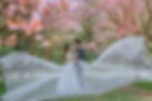 DSC02690 editted (s).JPG
