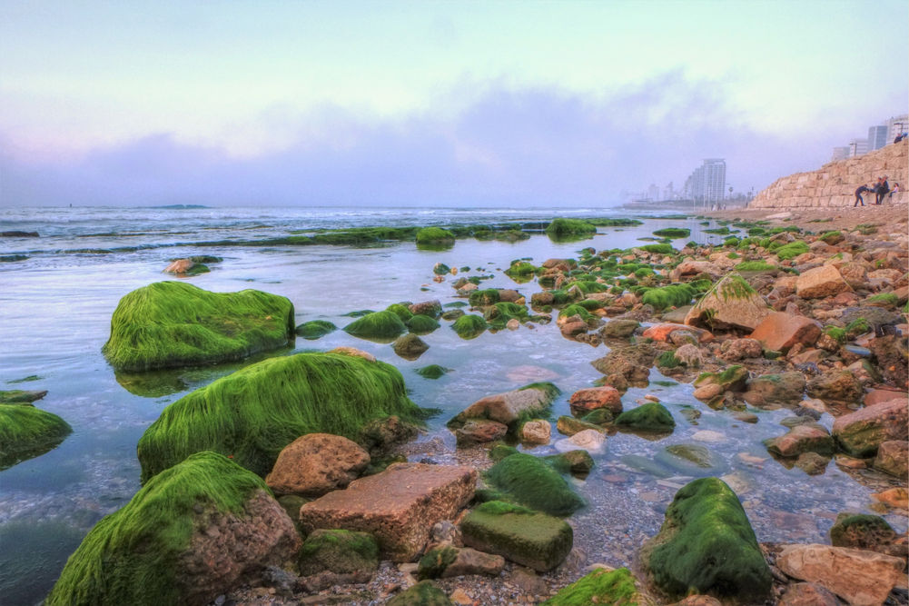 DSCF1217_8_9_tonemapped1.jpg