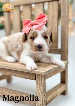 Petite red Parti female