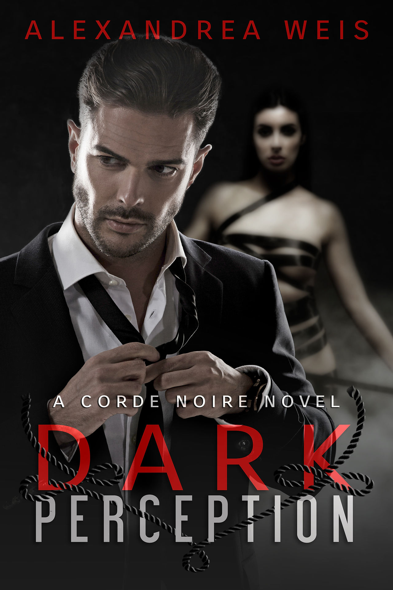 DarkPerceptionEbook