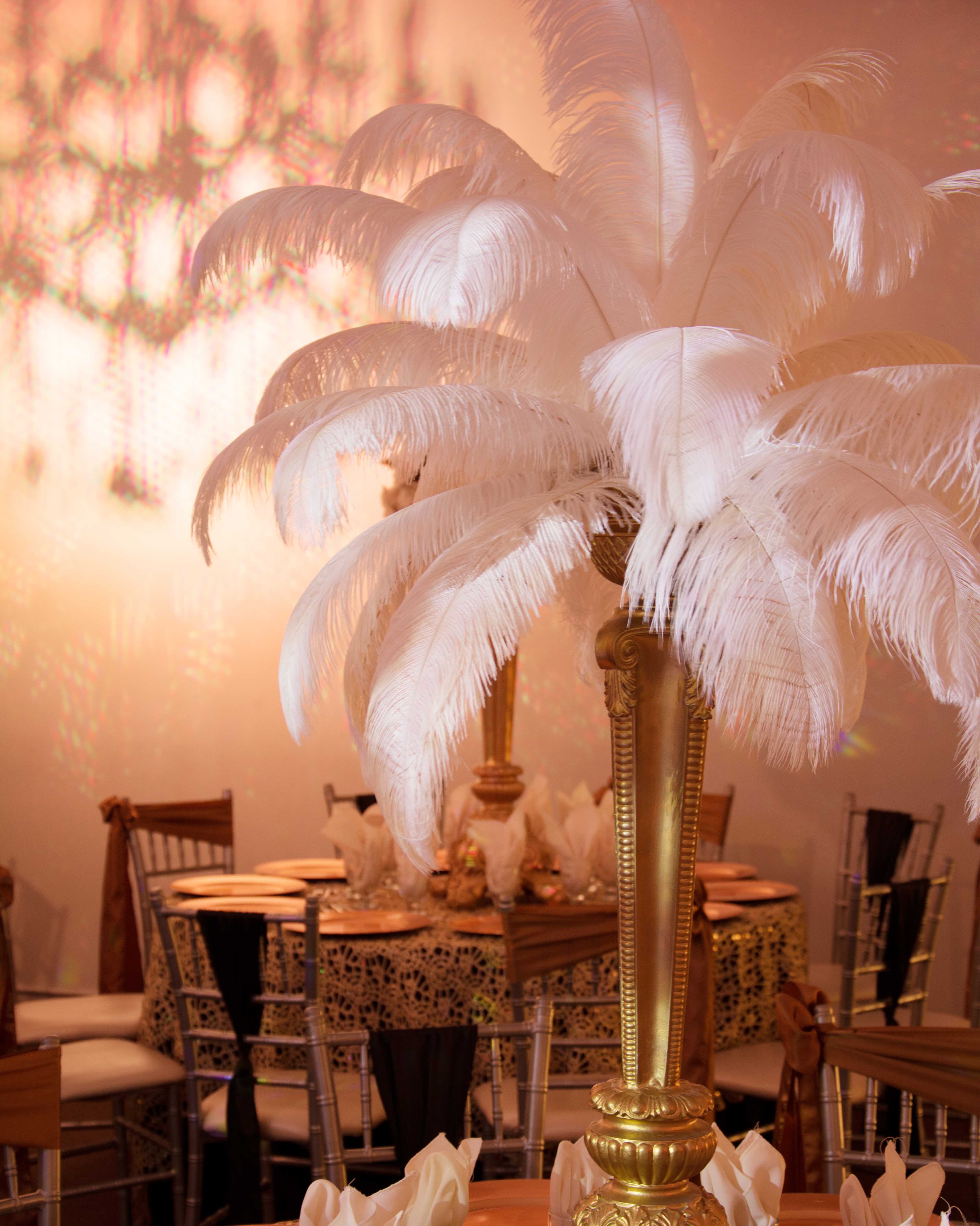 Ostritch Feathers