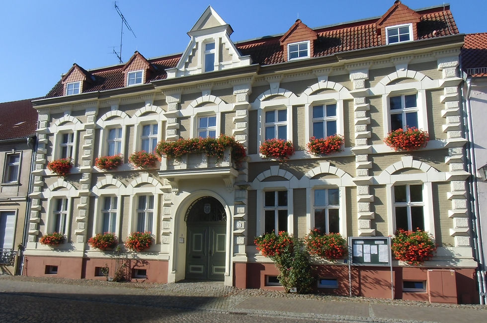 Miniaturbild: Martinsgans in der Märkischen Schweiz