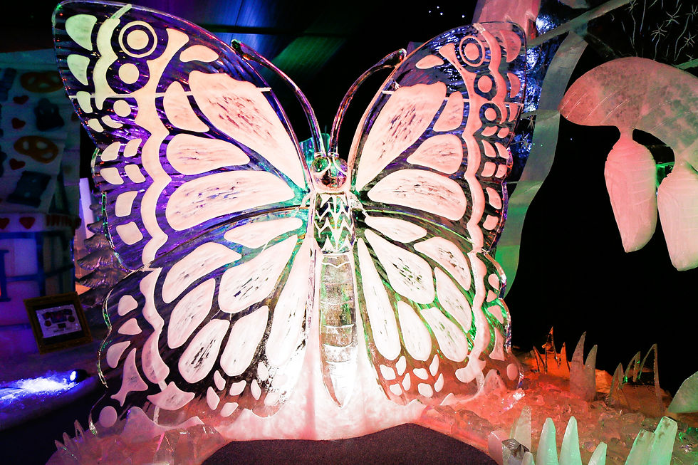 Miniaturbild: Fantastische Eiswelt in Rövershagen