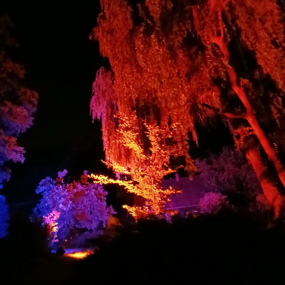 Miniaturbild: Spreewälder Lichtnächte 2026