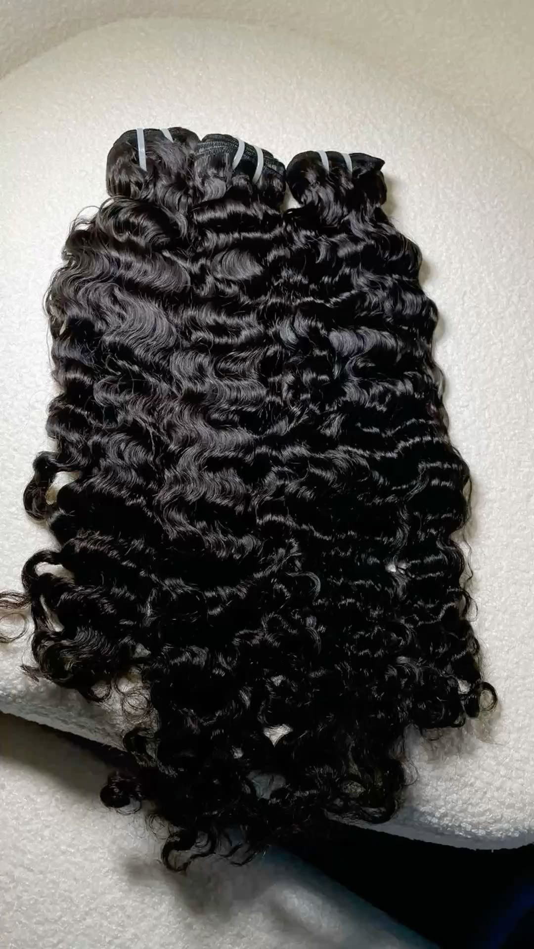 Burmese Curly