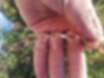 86a9a2f8-1e07-4c94-9e7c-f7b0884f6bf4.jpe