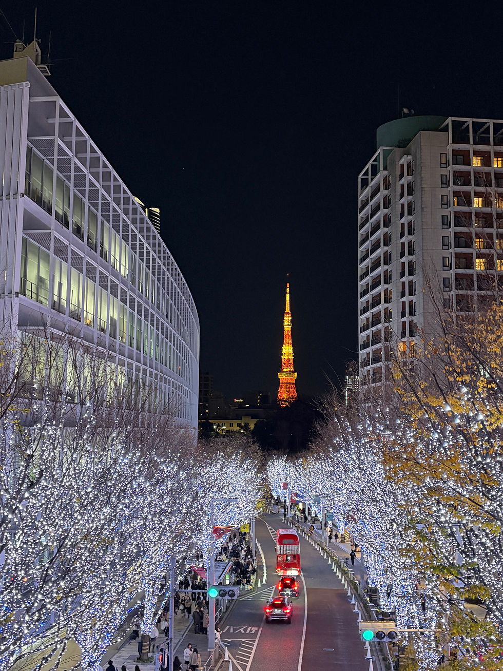六本木ヒルズ&東京タワー。 めちゃくちゃ綺麗でした!