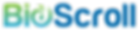 bs1.png