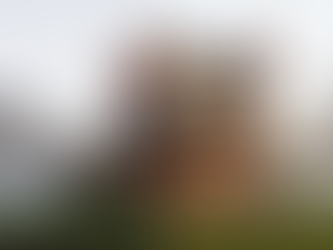 Should I do an Addition/Remodel or New Construction?