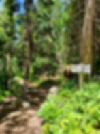 Six Shooter Trail Sign