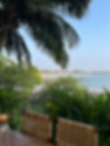 IMG_9195.jpeg