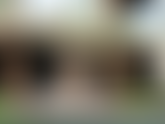 มะกอกโอลีฟสายพันธุ์ไหนดี? รวมทุกสายพันธุ์มะกอกโอลีฟที่คุณต้องรู้!