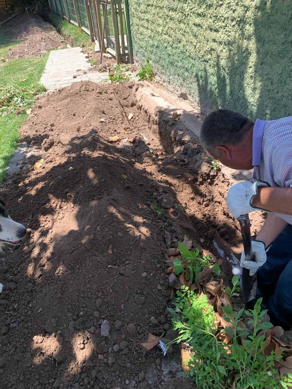 WhatsApp Image 2025-04-20 at 1.41.45 AM (1)