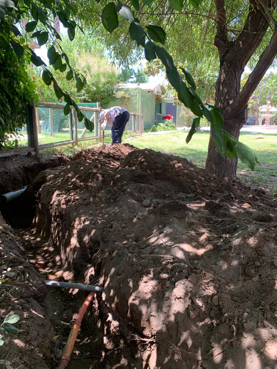 WhatsApp Image 2025-04-20 at 1.41.42 AM