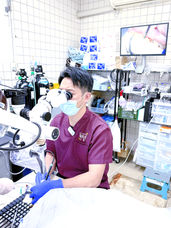 宮田動物病院の歯科で歯石とりをしているところ