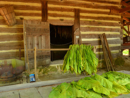 Restoring Our Tobacco Barn