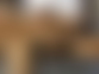 Meet Our New Furry Employee