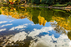 北の丸公園