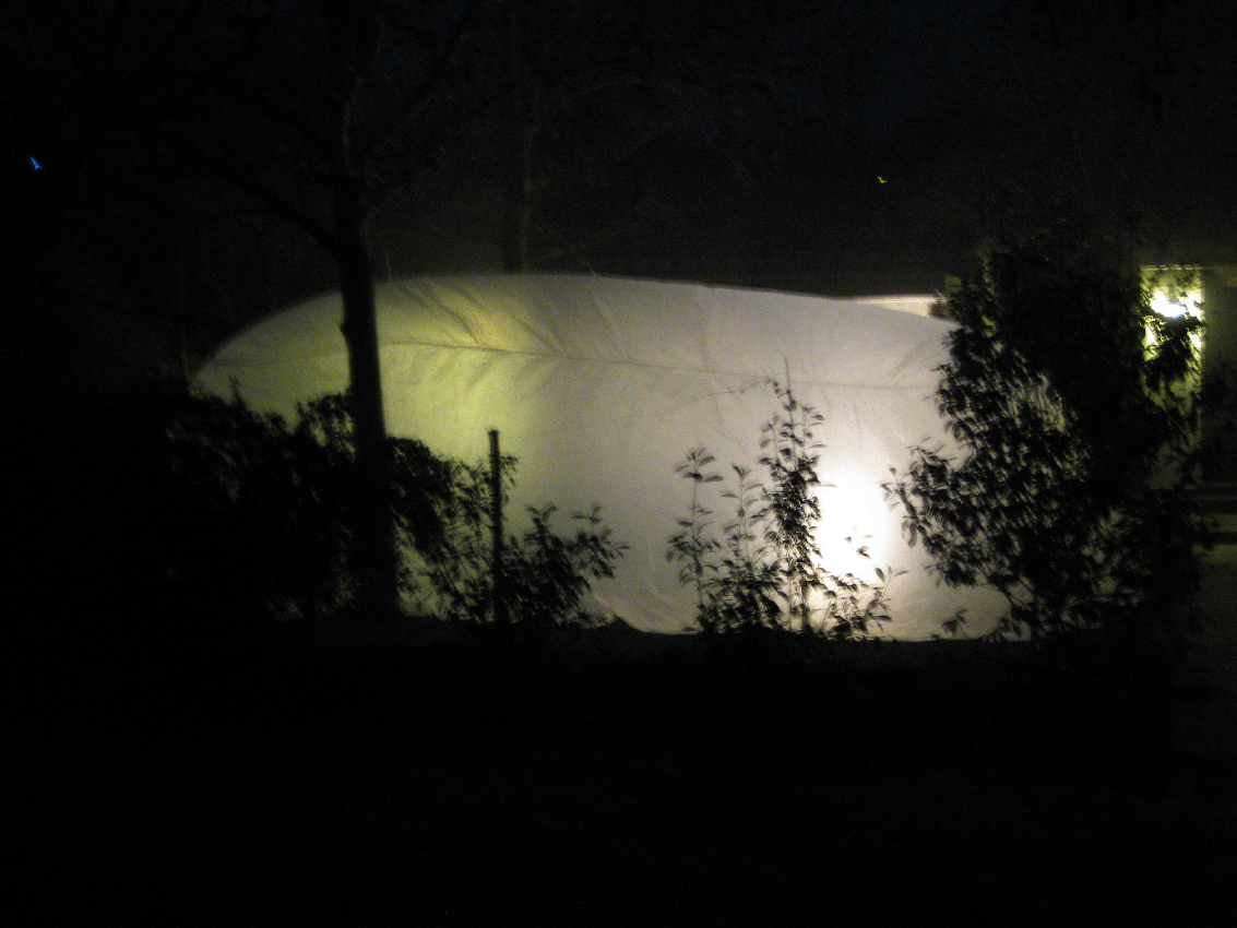 Dibujando en el aire _ CEU