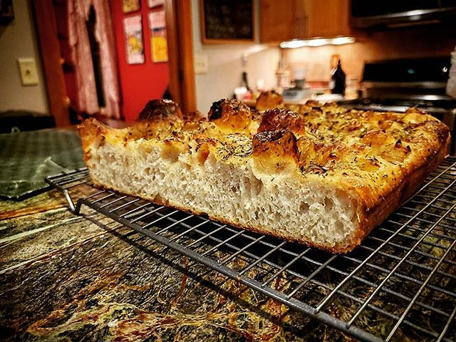 Get Started With Your Starter - Part 1: What Is Sourdough?