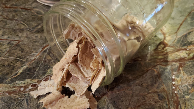 Get Started With Your Starter - Part 2: Sourdough Starter Basics