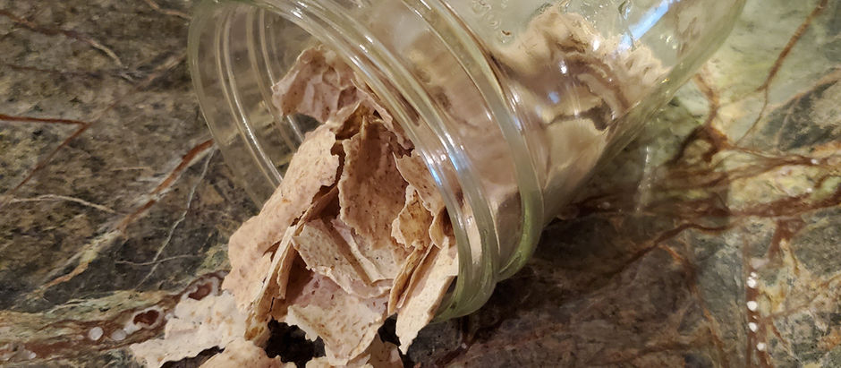 Get Started With Your Starter - Part 2: Sourdough Starter Basics