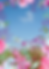 Elevé Background.png