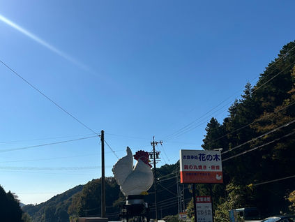 香嵐渓へ行ってきました｜ふたりで歩いて感じた“お出かけの楽しさ”