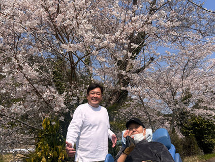 久しぶりの外出で見た桜と、少しずつ戻る自信