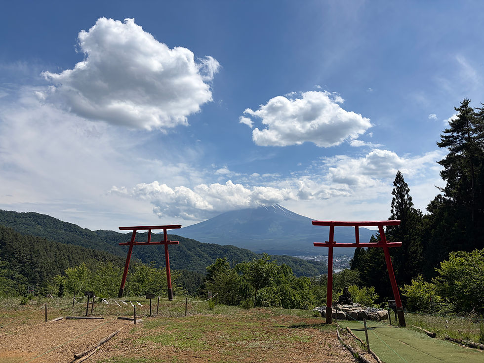 行ってみたかった場所へ✨天空の鳥居