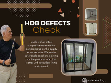 HDB Defects Check
