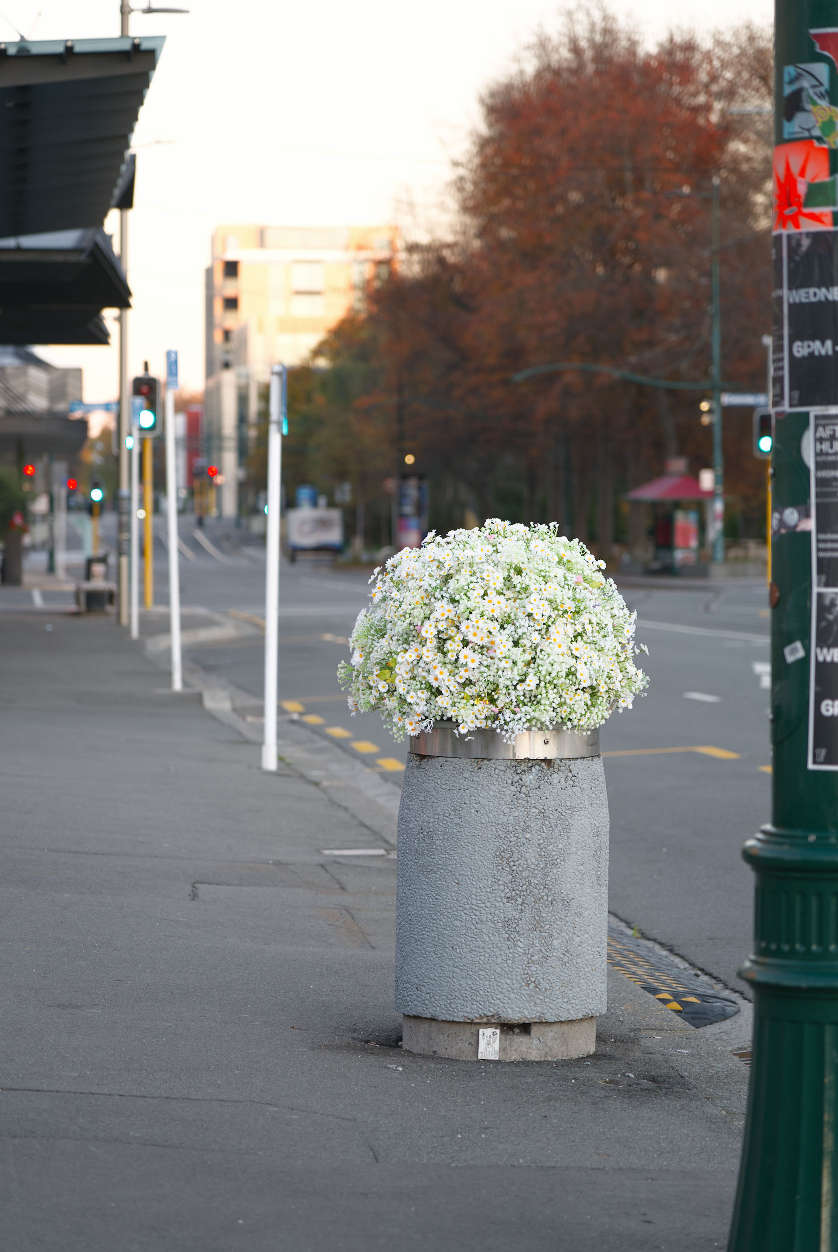 Flowers arranged out of a rubbish bin, made to look like a vase on the sidewalk by street artist Cameron Hunt.